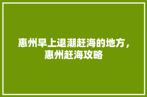 惠州早上退潮赶海的地方，惠州赶海攻略