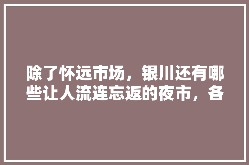 除了怀远市场，银川还有哪些让人流连忘返的夜市，各自有什么特点，银川特色的小吃一条街