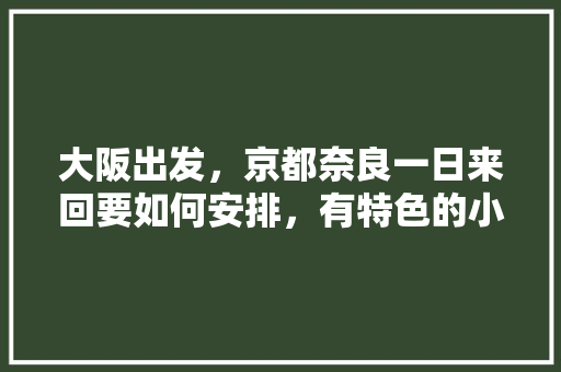 大阪出发，京都奈良一日来回要如何安排，有特色的小吃店