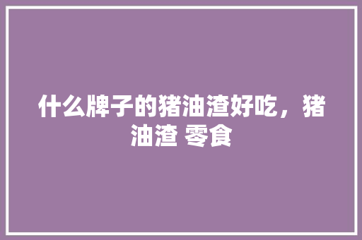什么牌子的猪油渣好吃，猪油渣 零食 什么牌子的猪油渣好吃，猪油渣 零食 健康建议