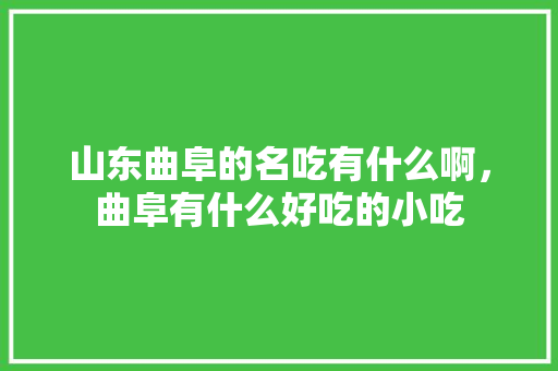 山东曲阜的名吃有什么啊，曲阜有什么好吃的小吃