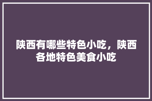 陕西有哪些特色小吃，陕西各地特色美食小吃