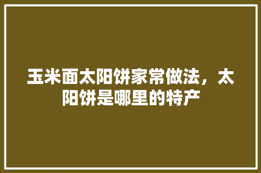 玉米面太阳饼家常做法，太阳饼是哪里的特产