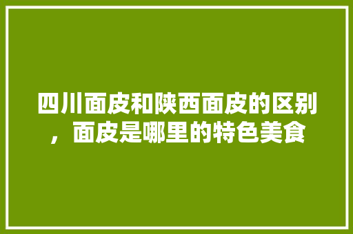 四川面皮和陕西面皮的区别，面皮是哪里的特色美食 四川面皮和陕西面皮的区别，面皮是哪里的特色美食 美食推荐