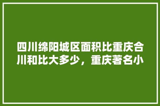 四川绵阳城区面积比重庆合川和比大多少，重庆著名小吃简笔画