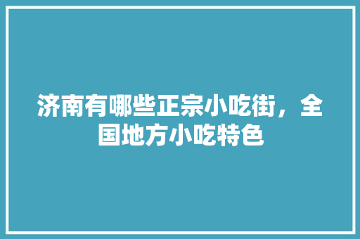 济南有哪些正宗小吃街，全国地方小吃特色