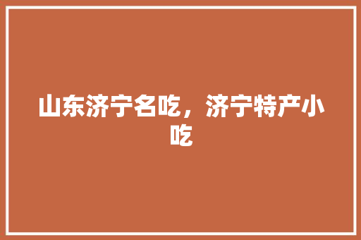 山东济宁名吃，济宁特产小吃