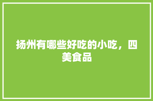扬州有哪些好吃的小吃，四美食品