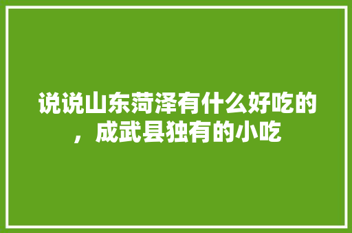 说说山东菏泽有什么好吃的，成武县独有的小吃 说说山东菏泽有什么好吃的，成武县独有的小吃 美食推荐