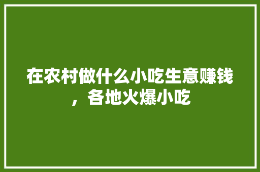 在农村做什么小吃生意赚钱，各地火爆小吃
