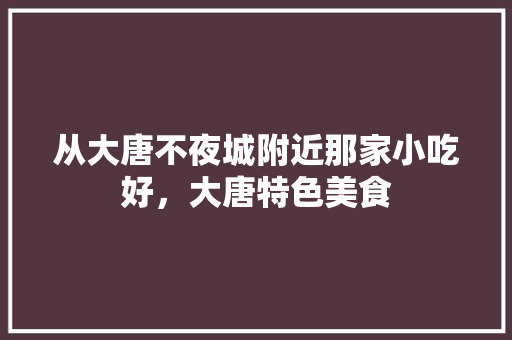 从大唐不夜城附近那家小吃好，大唐特色美食