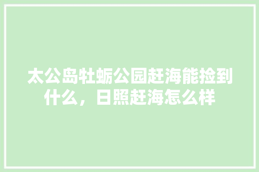 太公岛牡蛎公园赶海能捡到什么，日照赶海怎么样