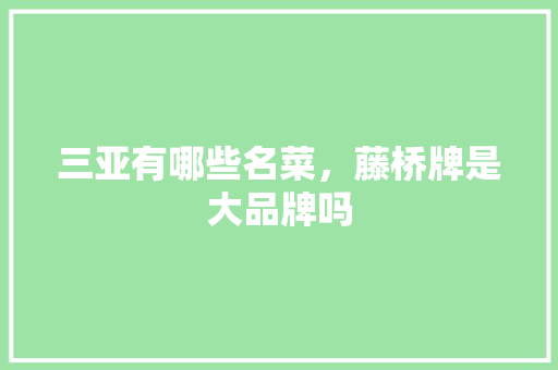 三亚有哪些名菜，藤桥牌是大品牌吗