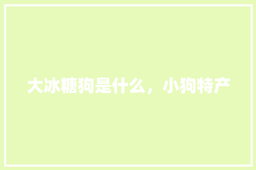 大冰糖狗是什么，小狗特产 大冰糖狗是什么，小狗特产 生活指南
