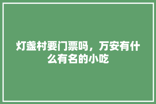 灯盏村要门票吗，万安有什么有名的小吃