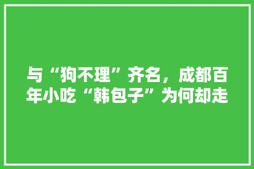 与“狗不理”齐名，成都百年小吃“韩包子”为何却走向另一极端，各地特色包子