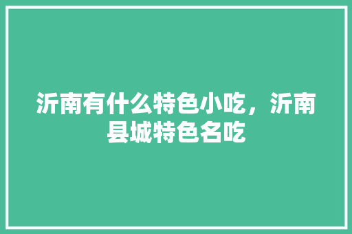 沂南有什么特色小吃，沂南县城特色名吃