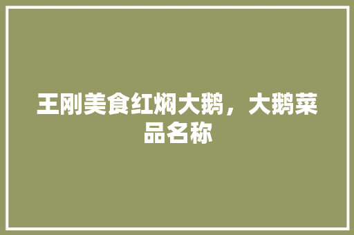 王刚美食红焖大鹅，大鹅菜品名称