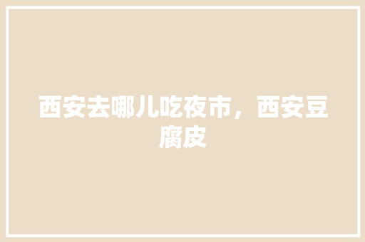 西安去哪儿吃夜市，西安豆腐皮