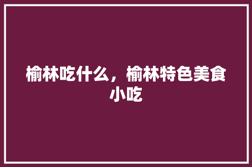 榆林吃什么，榆林特色美食小吃