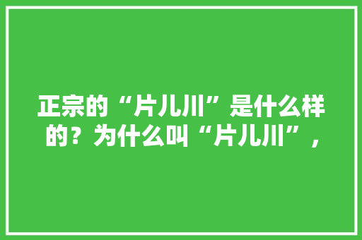 正宗的“片儿川”是什么样的？为什么叫“片儿川”，好吃的瘦肉片怎样做 正宗的“片儿川”是什么样的？为什么叫“片儿川”，好吃的瘦肉片怎样做 生活指南