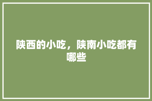 陕西的小吃，陕南小吃都有哪些