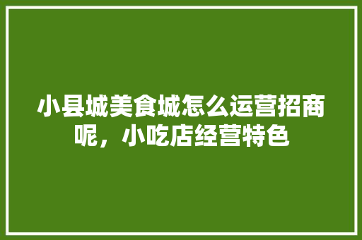 小县城美食城怎么运营招商呢，小吃店经营特色 小县城美食城怎么运营招商呢，小吃店经营特色 旅行资讯