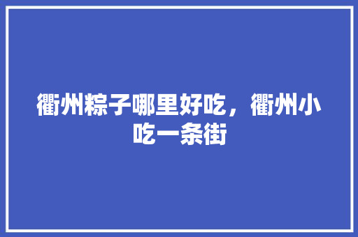 衢州粽子哪里好吃，衢州小吃一条街