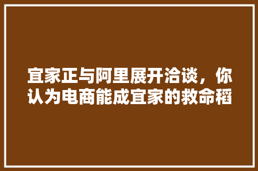 宜家正与阿里展开洽谈，你认为电商能成宜家的救命稻草吗，江浙沪美食代购