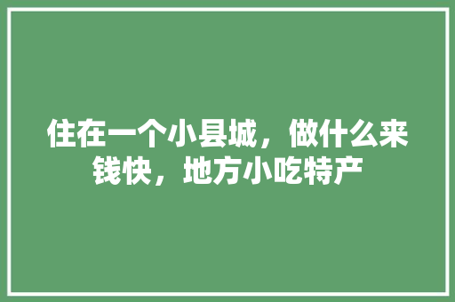 住在一个小县城，做什么来钱快，地方小吃特产
