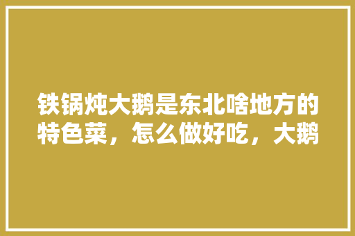 铁锅炖大鹅是东北啥地方的特色菜，怎么做好吃，大鹅美食