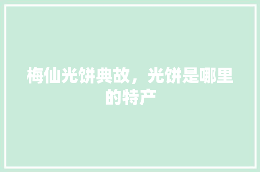 梅仙光饼典故，光饼是哪里的特产