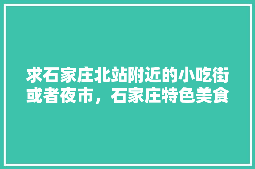 求石家庄北站附近的小吃街或者夜市，石家庄特色美食小吃街