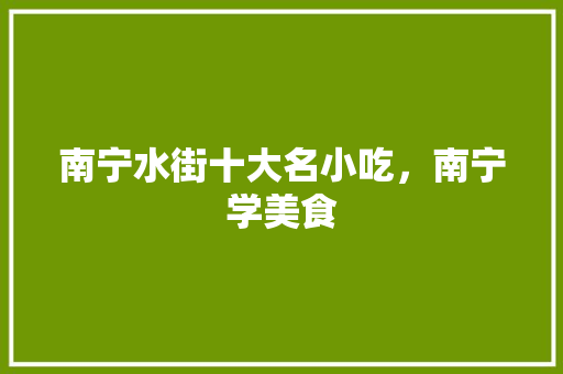 南宁水街十大名小吃，南宁学美食 南宁水街十大名小吃，南宁学美食 美食推荐