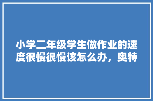 小学二年级学生做作业的速度很慢很慢该怎么办，奥特曼钓鱼奥特曼