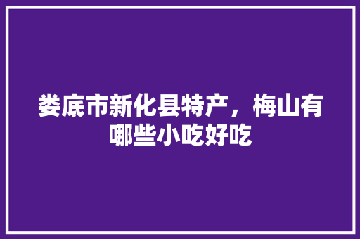 娄底市新化县特产，梅山有哪些小吃好吃