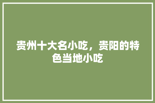 贵州十大名小吃，贵阳的特色当地小吃