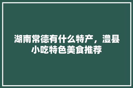 湖南常德有什么特产，澧县小吃特色美食推荐 湖南常德有什么特产，澧县小吃特色美食推荐 家居窍门