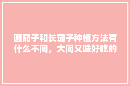圆茄子和长茄子种植方法有什么不同，大同又啥好吃的