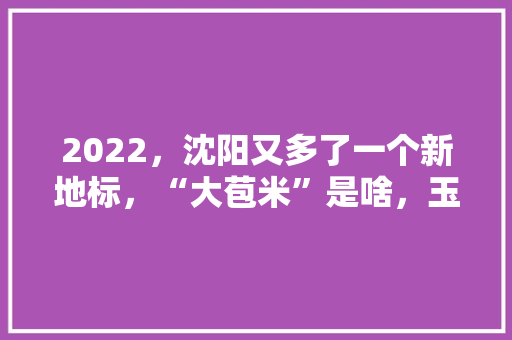 2022，沈阳又多了一个新地标，“大苞米”是啥，玉米的小零食 2022，沈阳又多了一个新地标，“大苞米”是啥，玉米的小零食 美食推荐