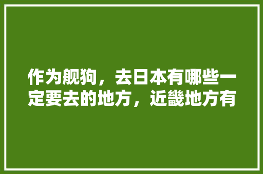 作为舰狗，去日本有哪些一定要去的地方，近畿地方有哪些县 作为舰狗，去日本有哪些一定要去的地方，近畿地方有哪些县 美食推荐