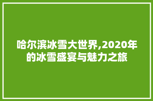 哈尔滨冰雪大世界,2020年的冰雪盛宴与魅力之旅
