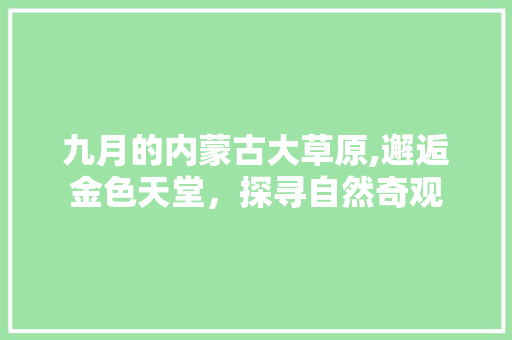 九月的内蒙古大草原,邂逅金色天堂，探寻自然奇观 健康建议