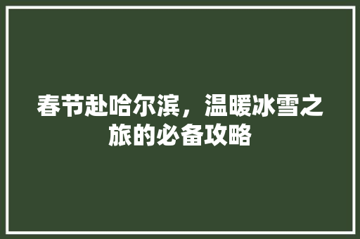春节赴哈尔滨，温暖冰雪之旅的必备攻略 美食推荐