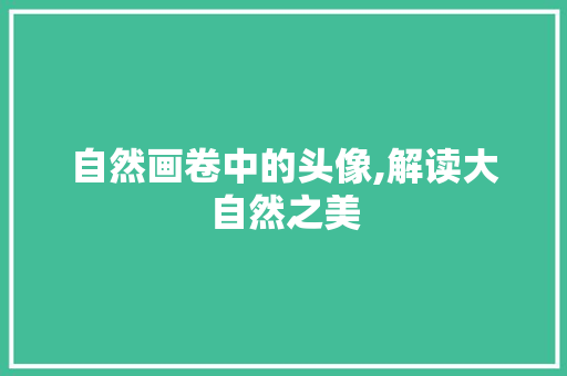 自然画卷中的头像,解读大自然之美 健康建议