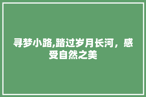 寻梦小路,踏过岁月长河，感受自然之美
