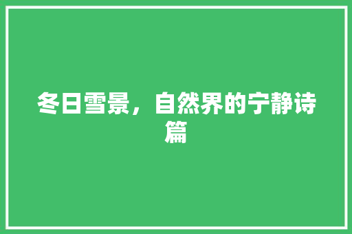 冬日雪景，自然界的宁静诗篇 旅行资讯