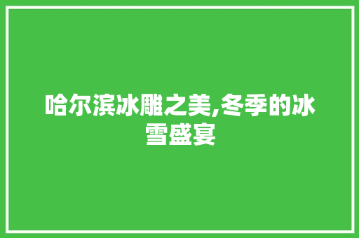 哈尔滨冰雕之美,冬季的冰雪盛宴 旅行资讯