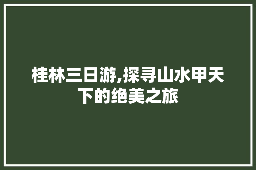 桂林三日游,探寻山水甲天下的绝美之旅 生活指南