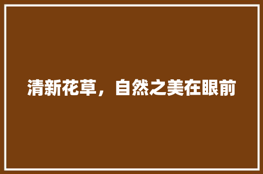清新花草，自然之美在眼前